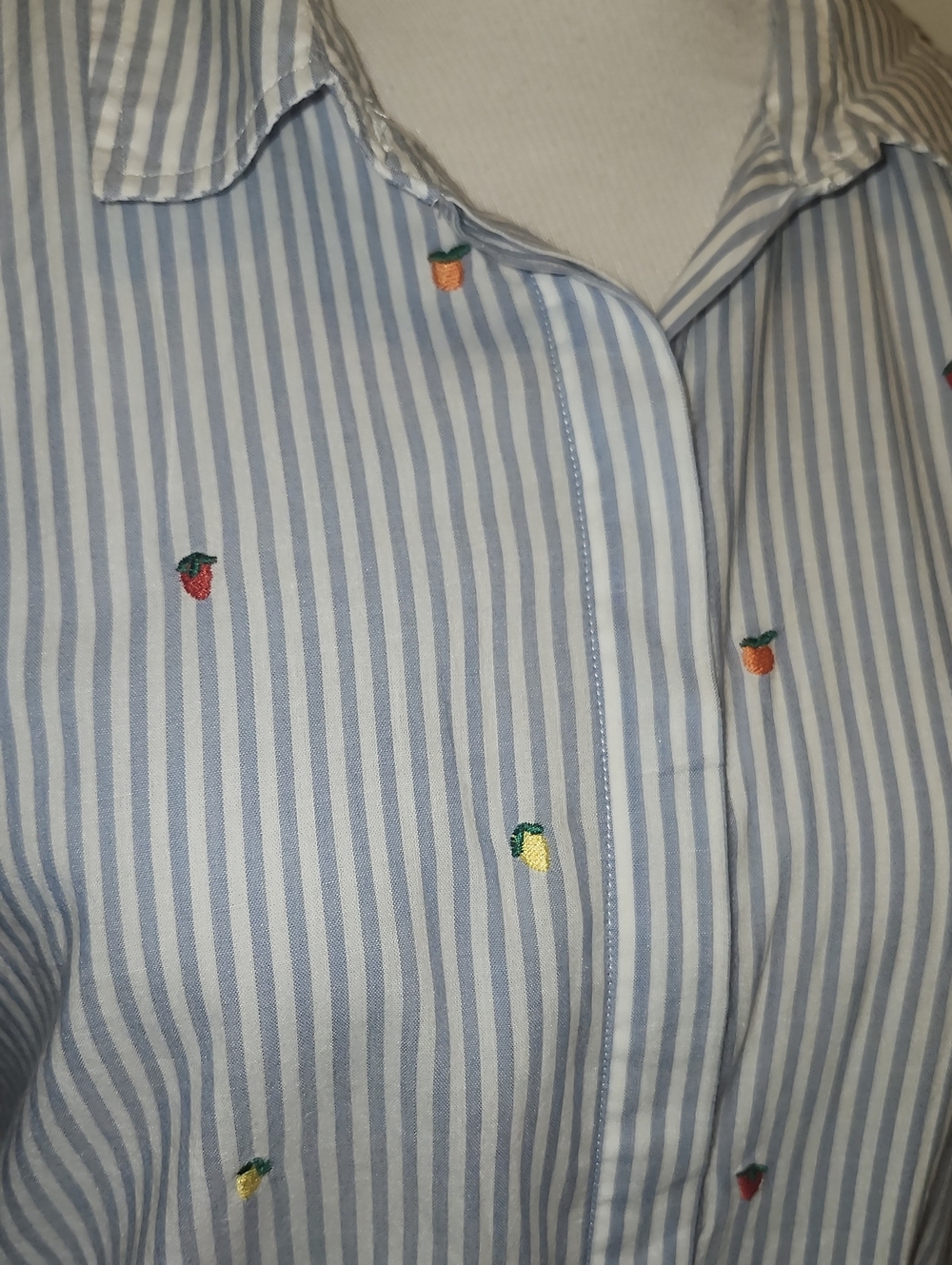 Rails Taylor Embroidered Citrus Button Down Shirt Size Mefium Blue Stripe Cotton - Picture 3 of 9
